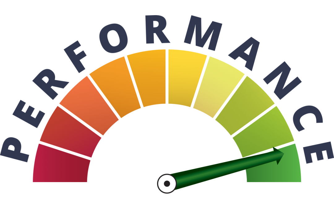 How To Review Your Organization Performance?